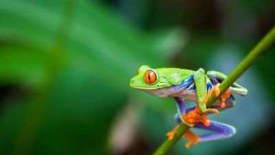 Climate Change and Biodiversity: What Your Business Should Know