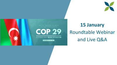 Webinar: COP29 The Way Forward, Roundtable Discussion